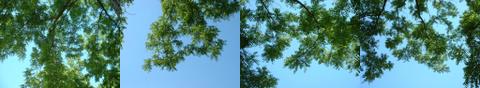 Preview Image Map 0